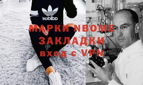 гашик Алексин