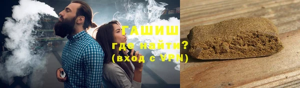 гашик Алексин