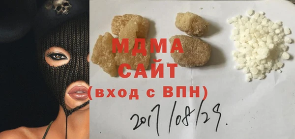 гашик Алексин