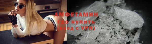 гашик Алексин