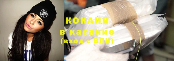 гашик Алексин