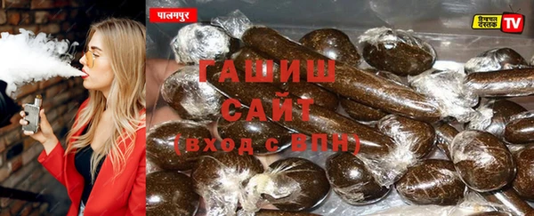 гашик Алексин