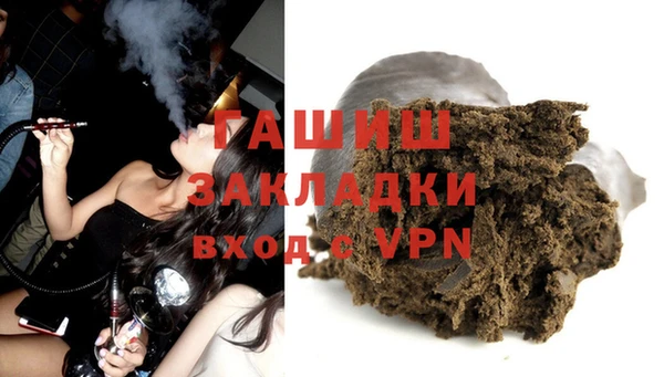гашик Алексин
