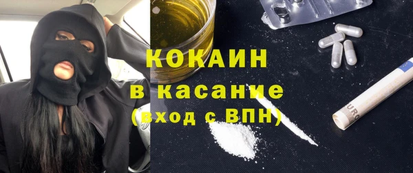 гашик Алексин