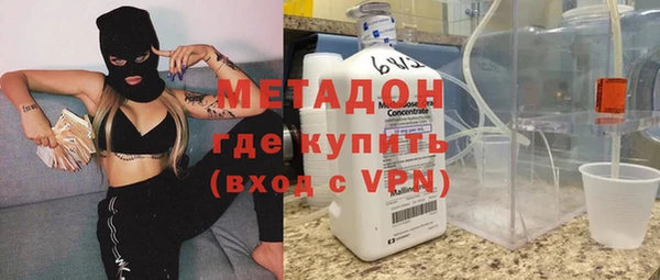 гашик Алексин