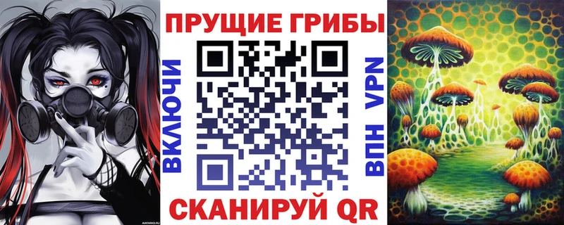 блэк спрут вход  купить   Любим  Псилоцибиновые грибы мицелий 